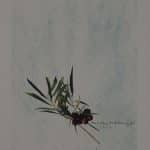 ΜΑΚΡΟΥΛΑΚΗΣ ΜΙΧΑΛΗΣ ΕΛΙΕΣ - 2