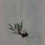 ΜΑΚΡΟΥΛΑΚΗΣ ΜΙΧΑΛΗΣ ΕΛΙΕΣ - 1