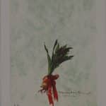 ΜΑΚΡΟΥΛΑΚΗΣ ΜΙΧΑΛΗΣ ΚΡΟΜΜΥΔΑ