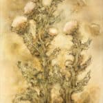 Θεανίδης Βασίλης