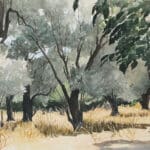 Ταμβακέρας Στρατής (6)