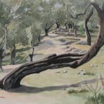 Ταμβακέρας Στρατής (7)