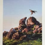 Μακρουλάκης Μιχάλης 186-195 / 42.5 Χ 30